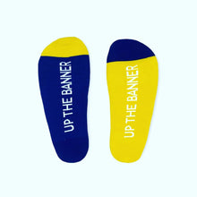 Clare “Up the Banner” Socks - Irish Socksciety