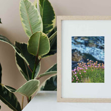 Seapinks in Liscannor PHOTO PRINT
