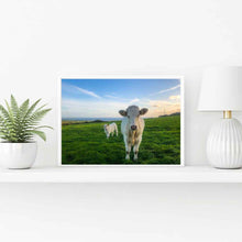 Liscannor Cow and Calf PHOTO PRINT