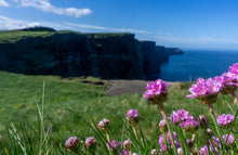 Cliffs of Moher PHOTO PRINT