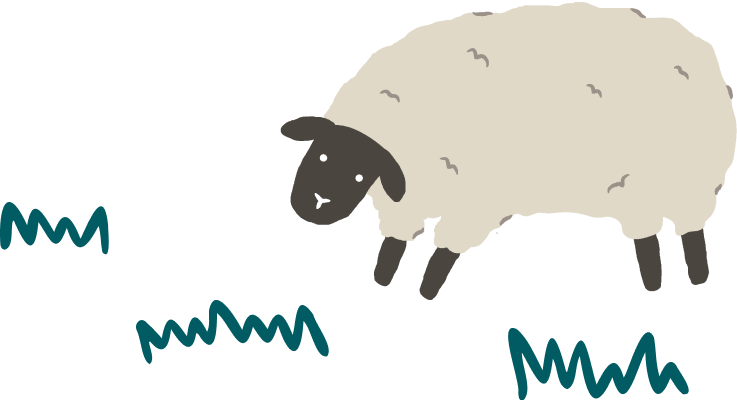 Image of a sheep