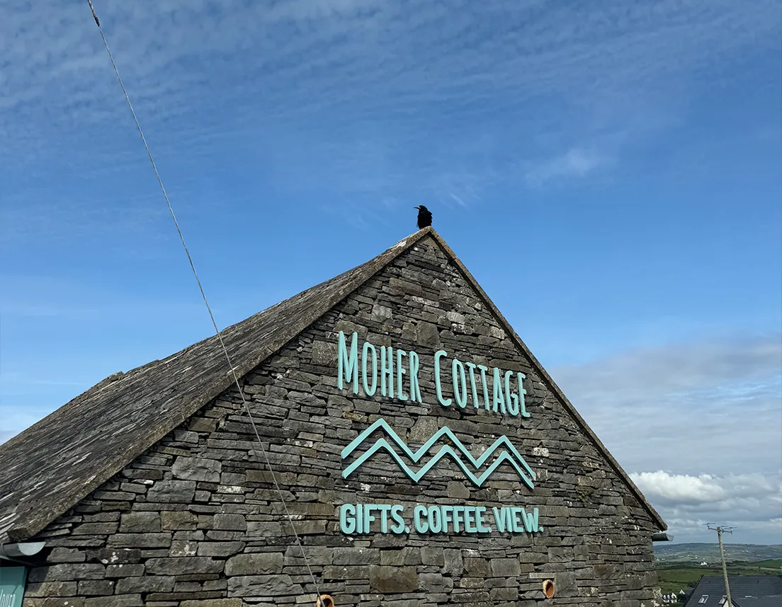 Bird on top of Moher cottage