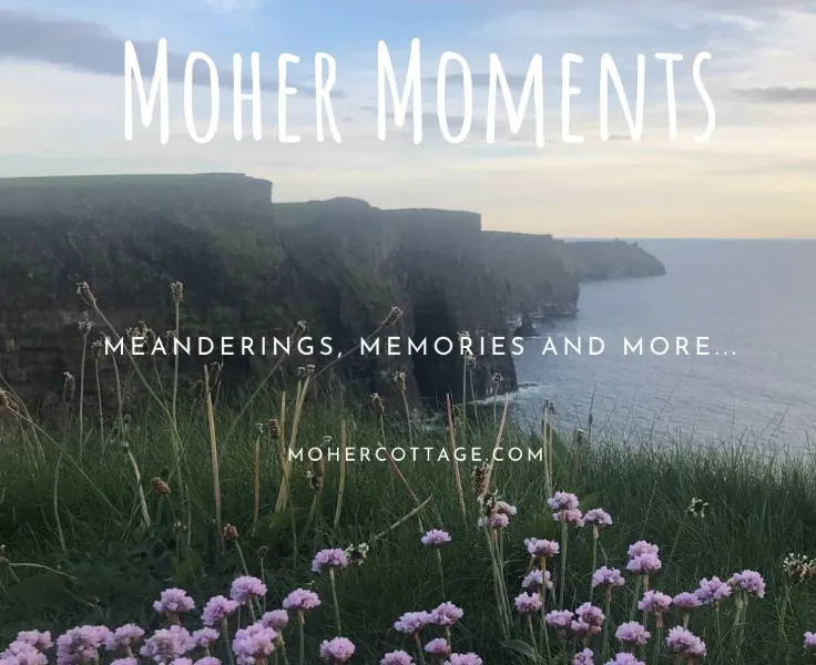 flowers grass clifftops text