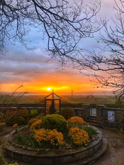 garden with sun in background garden with sun in background