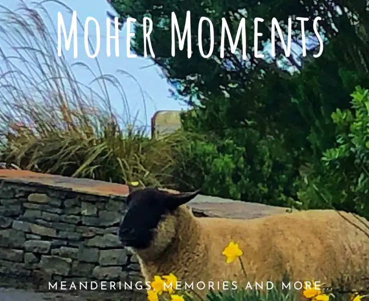 sheep country wall text