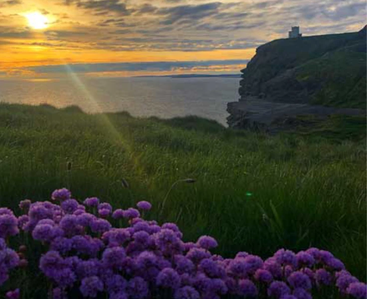 sun over clifftops with flowers