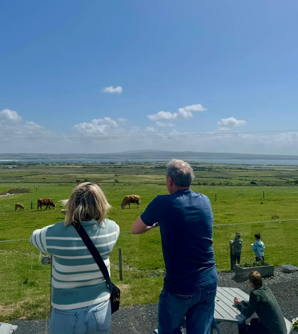 Man and Woman enjoying view of coast and cows in field